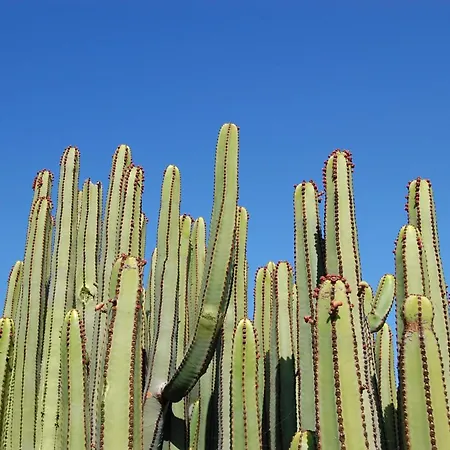 Elysium By Villagrancanaria * La Playa de Arguineguín